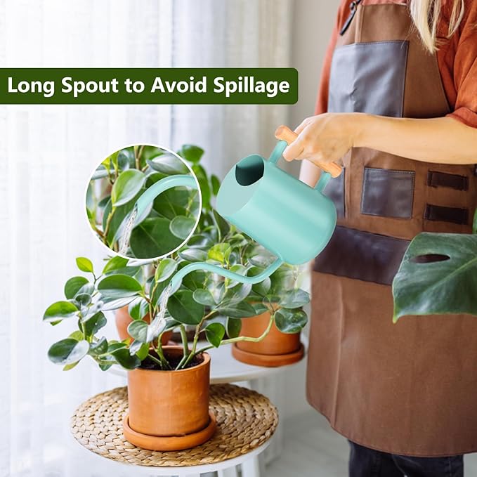 Watering Can Indoor Plants, 35oz Small Indoor Stainless Steel Metal Watering - Image 2
