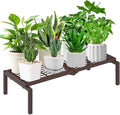 1 Tier Metal Plant Stand Indoor Outdoor, Potted Multiple Flower Pot Holder Rack by Gouisalin
