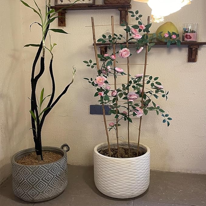 Natural Bamboo Trellis, Fan-Shaped Plant Support Trellis - Image 5