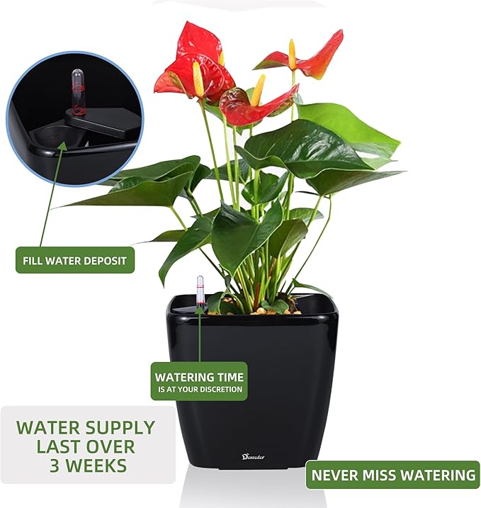 Dexceder 11x10 Self Watering Planter Indoor Outdoor, Inner Mat Design, - Image 5