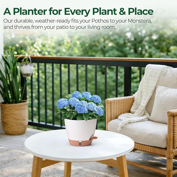 T4U 2 Pack 8 Inch Self Watering Pots - Image 9