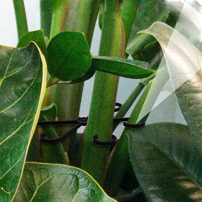 4Pcs Plastic Plant Climbers Stem Holders, 2 Sizes Reusable Flower Plant Stakes - Image 4