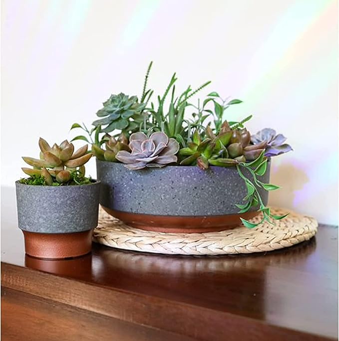 The HC Companies 8 Inch Round Plastic Succulent Capri Bowl 8"x8"x3" in Faux - Image 3