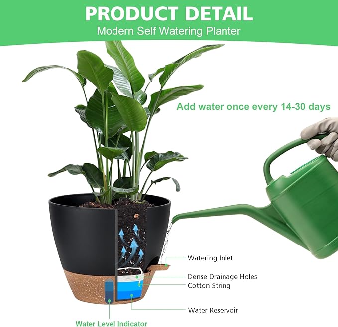 Self Watering Planter Set with Visual Water Level, Modern 8+7+6.5+6+5.5+5 Inch - Image 6