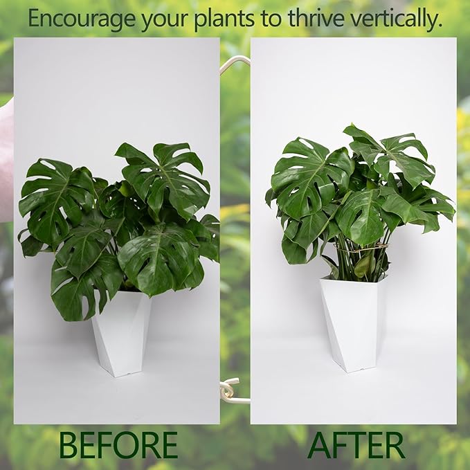 5PCS Monstera Plant Stem Support - Image 3