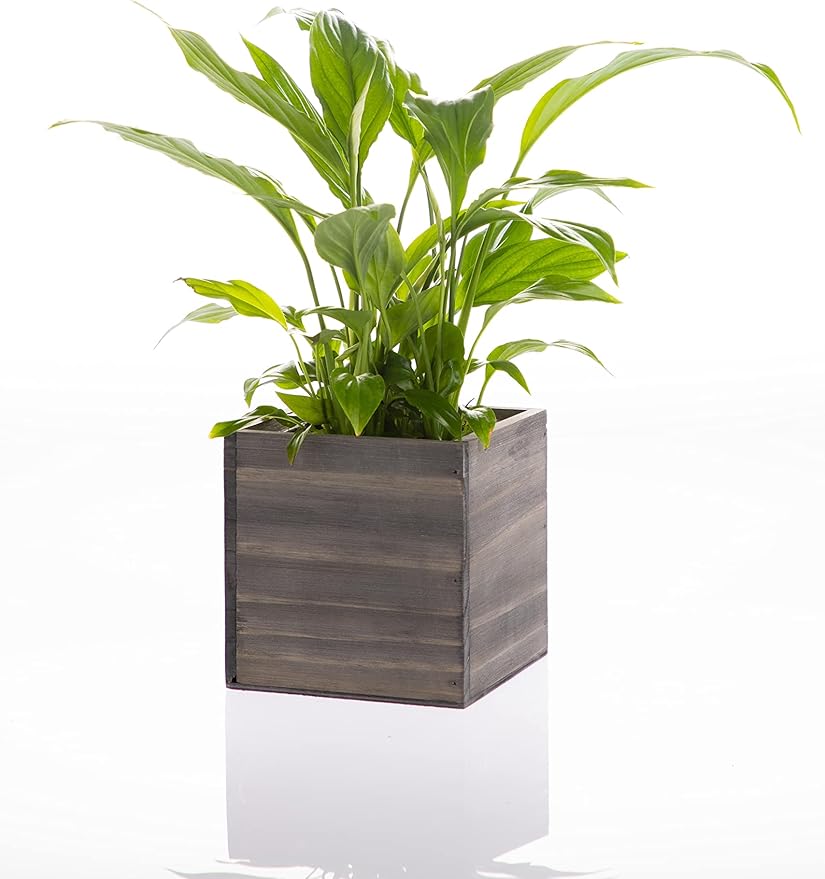 Wooden Planter Box, Rustic Barn Wood - Image 3