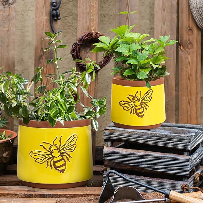 YBX Terracotta Pots Inch with Drainage Holes, Bee Decor, Ceramic Pots - Image 6