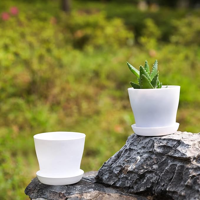 TDHDIKE 10 Pcs Plastic Planters Indoor Flower Plant Pots, Mini Flower Seedlings - Image 4