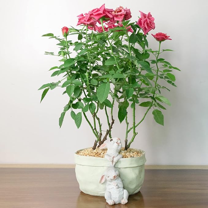 Rabbit Flower Pot Succulent Planter Garden Pots, Decorative Flower Pot - Image 4