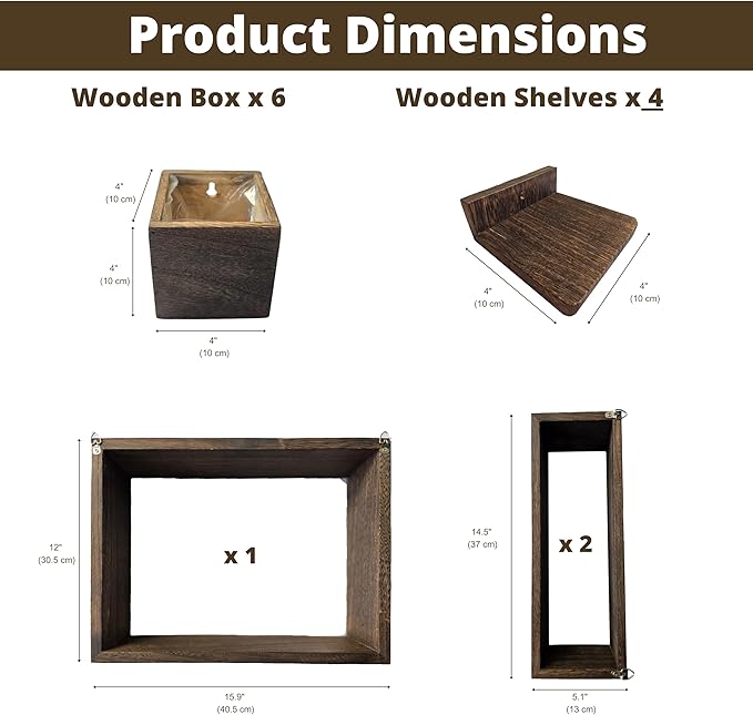LaLaGreen Wall Planters for Indoor Plants Small Wall-Mounted Vertical Plant - Image 3