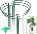 Joyhalo 6 Pack Plant Support Stakes, 16 Inch Peony Cages and Supports, Flower by Joyhalo