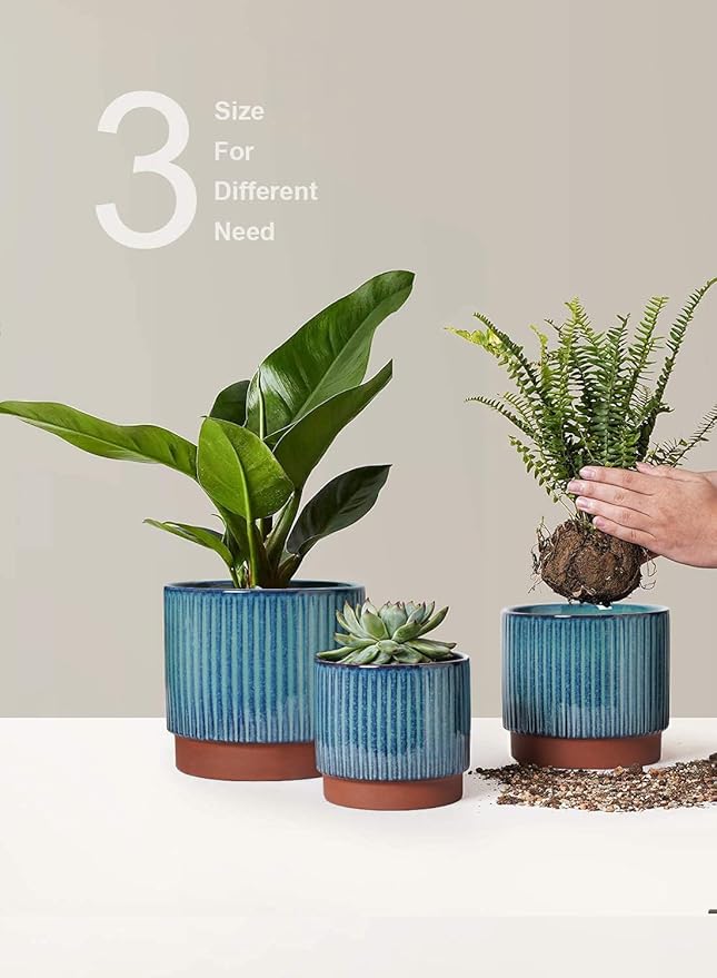 LE TAUCI Ceramic Plant Pots - Image 7