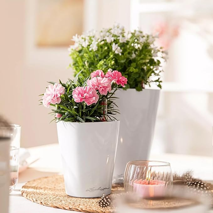 Lechuza MINI-DELTINI Cream White High Gloss, Self-Watering Small Indoor Planter - Image 8