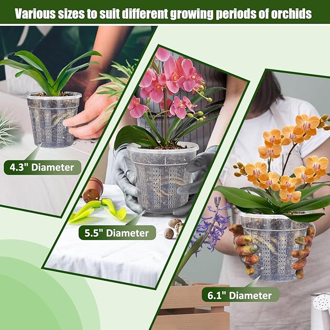 Orchid Pot, 2 Each of 4.3", 6.1" Orchid Pots - Image 7