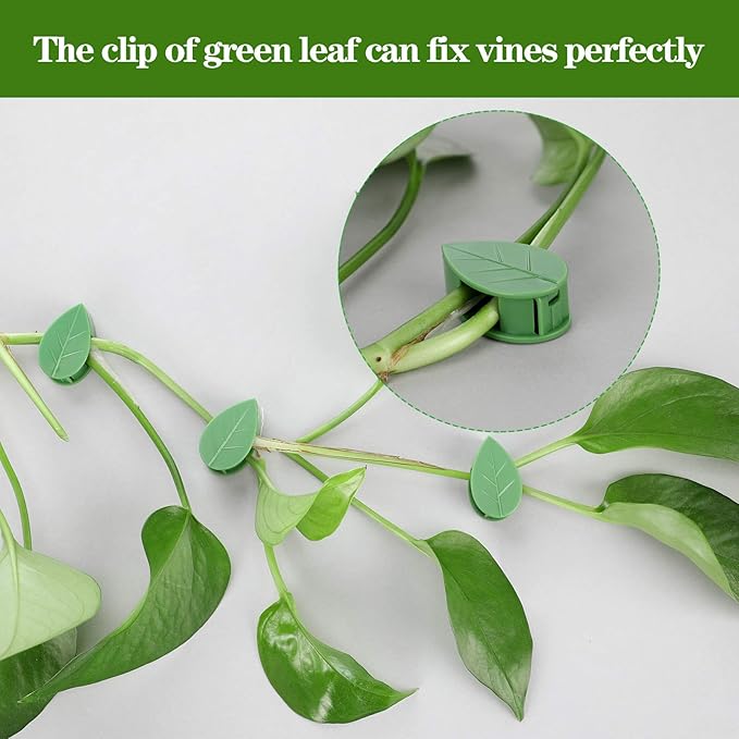 Geiserailie 60 Pieces Plant Climbing Wall Fixture Clips - Image 3