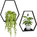 Wall Planters for Indoor Plants, Plant Frames Wall Decor Living Room Plant by DEMEGA