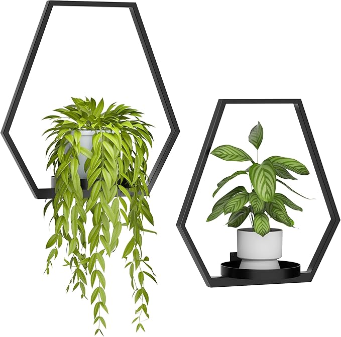 Wall Planters for Indoor Plants, Plant Frames Wall Decor Living Room Plant by DEMEGA