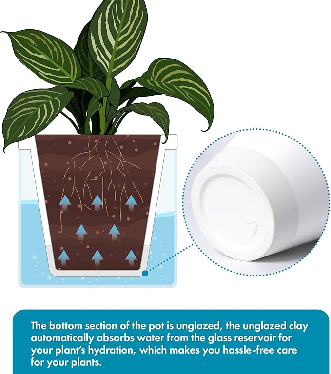 D'vine Dev 10 Inch Design Self Watering Planter - Image 4