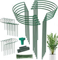 24 Pack Plant Support Stake, Half Round Metal Garden Plant Stake, Border Support by Linyona