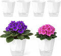 6 Pack Self Watering Pots for Indoor Plants, 5 Inches Self Watering Planters by Planterhoma