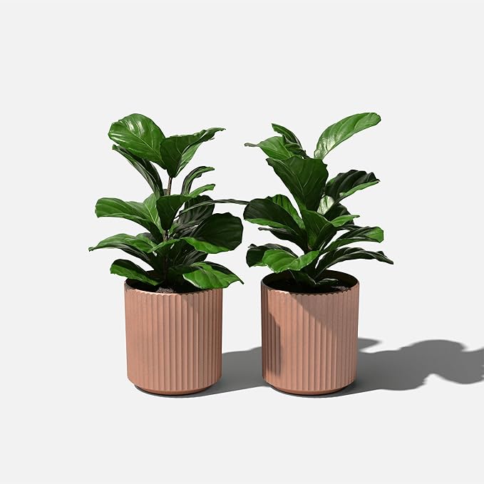 Veradek Demi Series Round Planter - Image 8