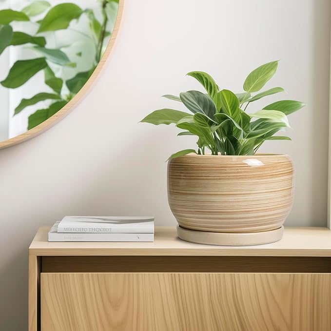 SQOWL Ceramic Plant Pot - Image 7