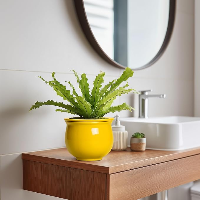 Ceramic Self Watering Planters, 6 Inch African Violet Pots - Image 5