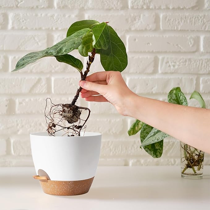 White Self Watering Pots with Drainage Planting Pot - Image 6