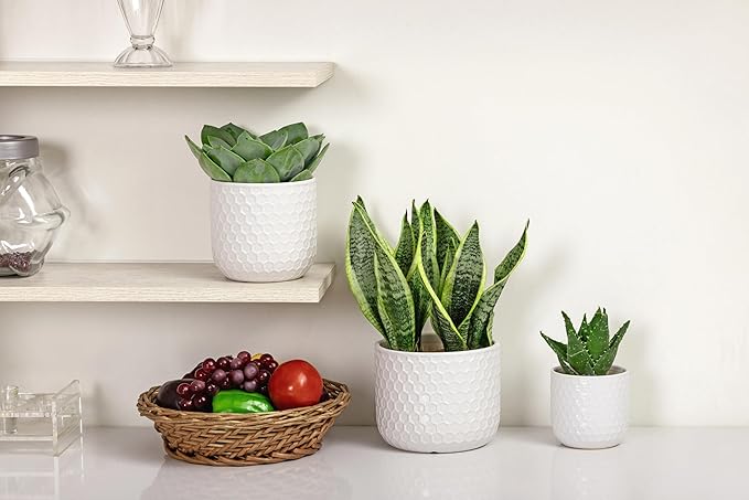 Docrin Plant Pots Indoor with Drainage: 6.4+5.3+4 Inch Ceramic Flower Pots - Image 4