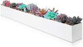 DR&Co Modern Rectangle Planter Box by DRCo