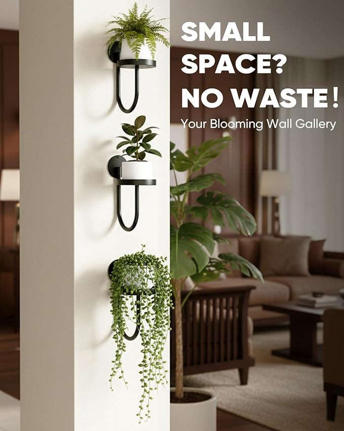 Wall Plant Holder – Hanging Planters - Image 6