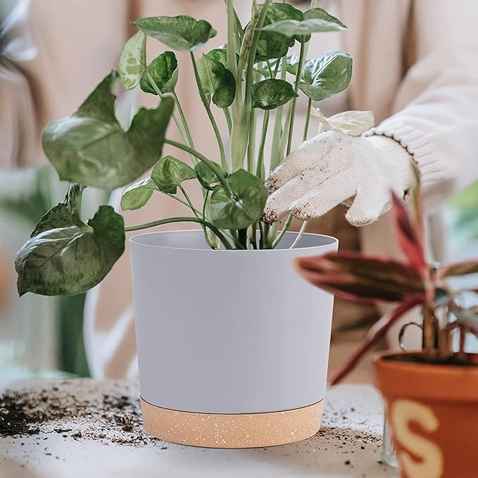 QCQHDU 8 inch Plant Pot, 2 Pack Planters - Image 5