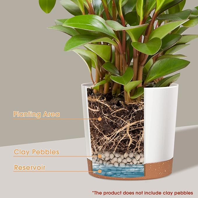 kubvici 2 Pack 8 Inch Planters for Indoor Plants, Plastic Flower Pots Plant - Image 4