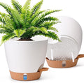 T4U 2 Pack 8 Inch Self Watering Pots by T4U