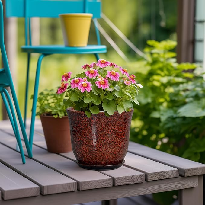 Ceramic Plant Pots - Image 4