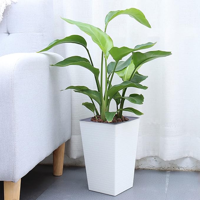 2 Pack Self Watering Planters 10.7" x 6.9" Planter - Image 2