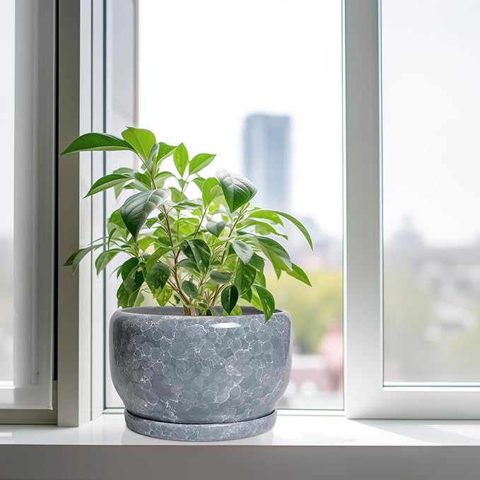 SQOWL Ceramic Pot for Plants - Image 4