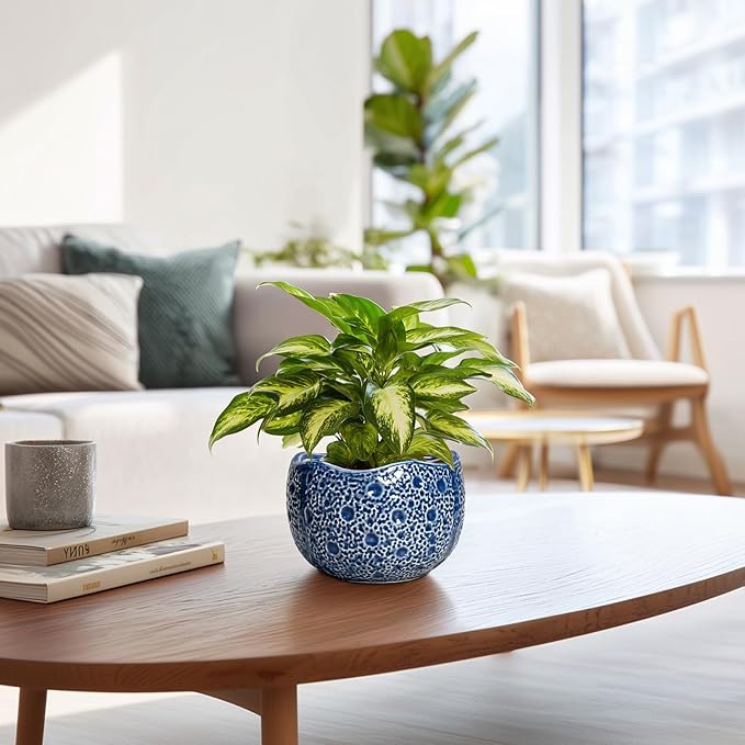 Orchid Pot - 6 Inch Ceramic Plant Pot - Image 6