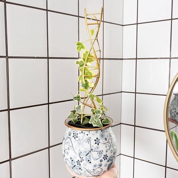 3PCS DNA Plant Trellis Indoor and Outdoor - Image 7