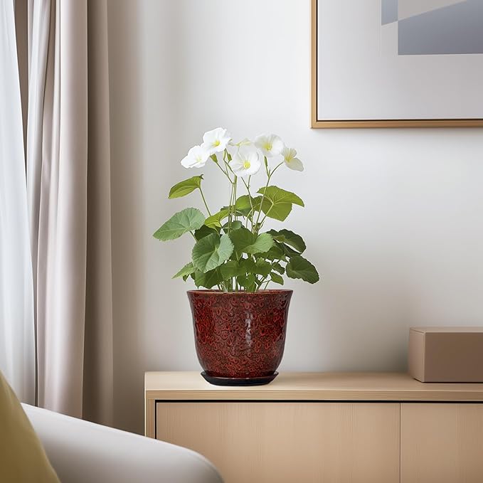Ceramic Plant Pots - Image 6