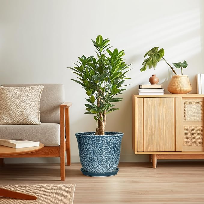 Ceramic Plant Pots - Image 7