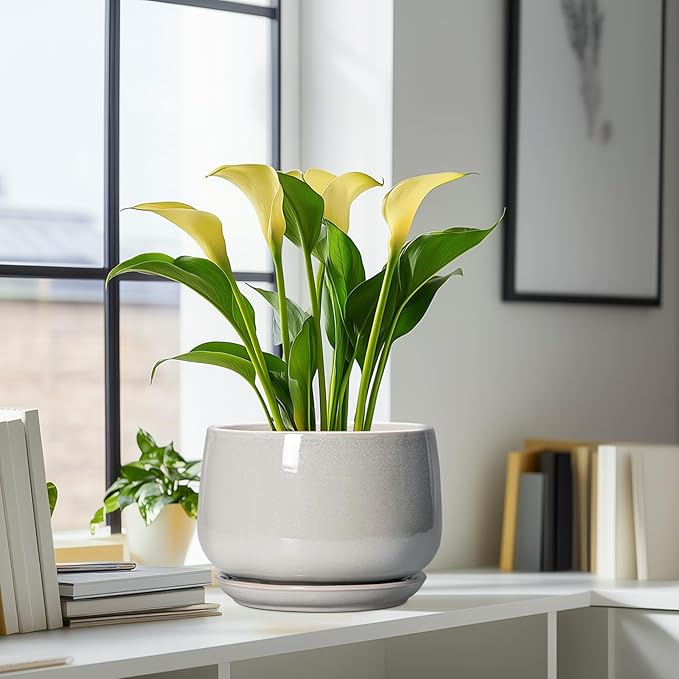 G EPGardening Ceramic Plant Pots - Image 6