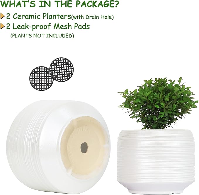 8 Inch + 6 Inch Ceramic Plant Pots Indoor - Image 4