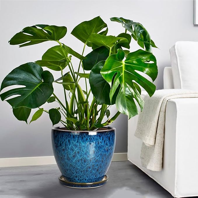 10 Inch Ceramic Planter Pot Round Plant Pot - Image 7