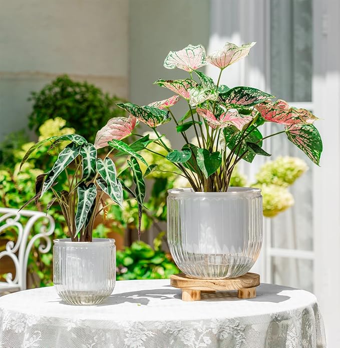 Melphoe Self Watering Pots for Indoor Plants Planter, 8.3/5.3 Inch 2 Pack - Image 3