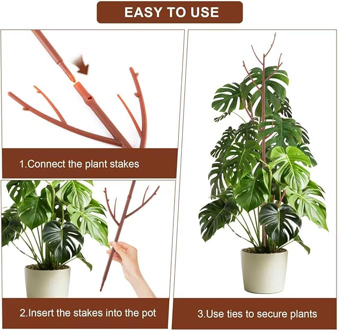 6 Pack Stackable Monstera Plant Support, Plant Stakes - Image 5