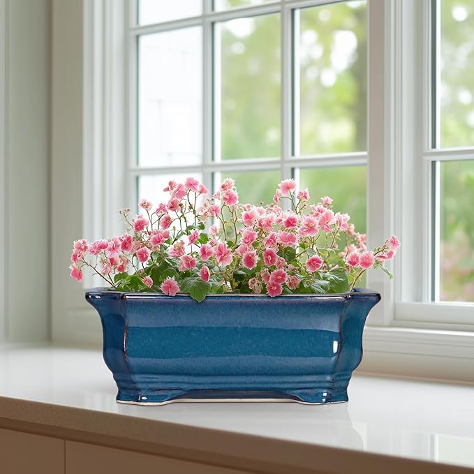 Bonsai Pots 11.6 Inch - Image 6