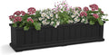 Mayne Cape Cod 4ft Window Box by Mayne
