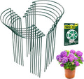 12 Pack Garden Plant Support Stakes, Half Round Peony Cages and Supports by LKSSZS