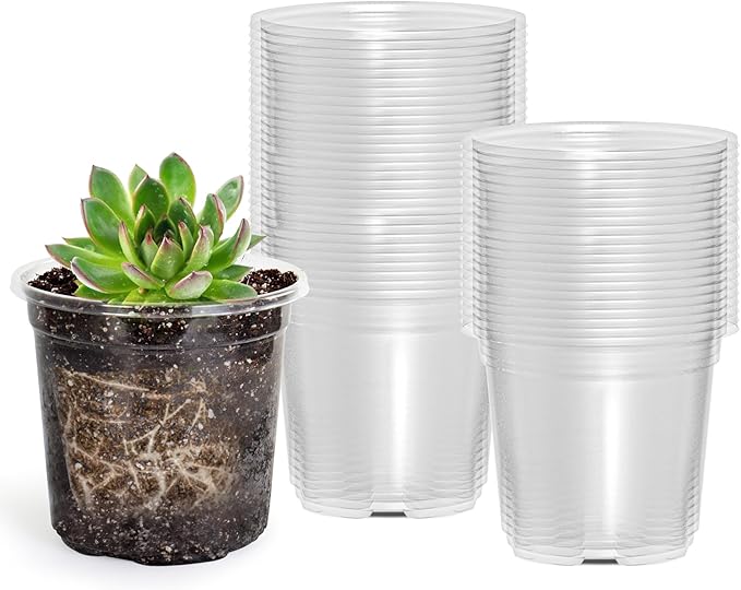 60 Packs 3.5 Inch Reinforced Clear Nursery Pots by Bluepro